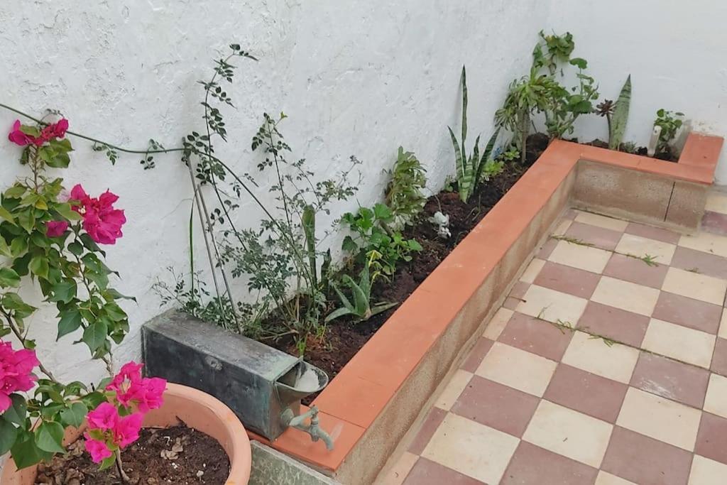 Casa Dos Mareas Villa Isla Cristina Dış mekan fotoğraf